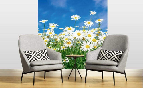 Dimex Daisies Fototapete 225x250cm 3-Bahnen Sfeer | Yourdecoration.nl