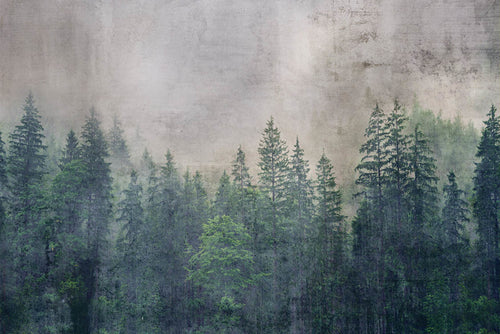 Dimex Forest Abstract Fototapete 375x250cm 5-bahnen | Yourdecoration.de