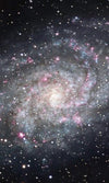 Dimex Galaxy Fototapete 150x250cm 2-Bahnen | Yourdecoration.de
