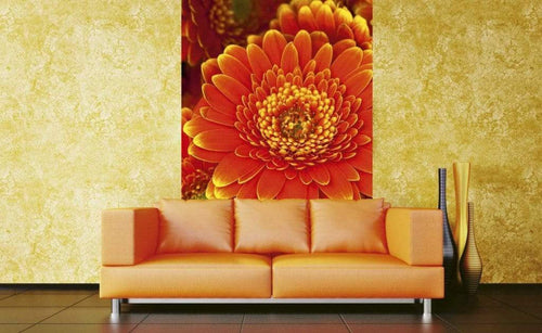 Dimex Gerbera Fototapete 150x250cm 2-Bahnen Sfeer | Yourdecoration.nl