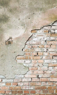 Dimex Grunge Wall Fototapete 150x250cm 2-Bahnen | Yourdecoration.de