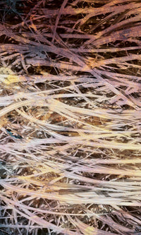 Dimex Hay Abstract I Fototapete 150x250cm 2-bahnen | Yourdecoration.de