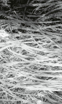Dimex Hay Abstract II Fototapete 150x250cm 2-bahnen | Yourdecoration.de