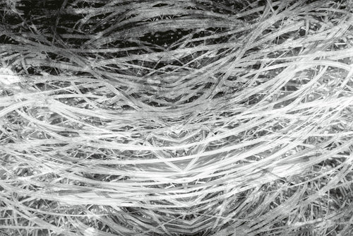 Dimex Hay Abstract II Fototapete 375x250cm 5-bahnen | Yourdecoration.de