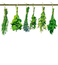 Dimex Herbs Fototapete 225x250cm 3-Bahnen | Yourdecoration.de
