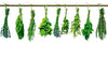 Dimex Herbs Fototapete 375x250cm 5-Bahnen | Yourdecoration.de