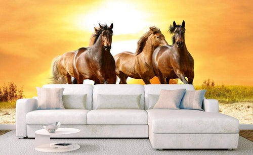 Dimex Horses in Sunset Fototapete 375x250cm 5-Bahnen Sfeer | Yourdecoration.nl