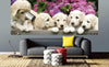 Dimex Labrador Puppies Fototapete 375x150cm 5-Bahnen Sfeer | Yourdecoration.nl