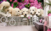 Dimex Labrador Puppies Fototapete 375x250cm 5-Bahnen Sfeer | Yourdecoration.nl