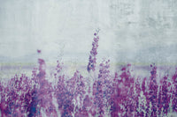 Dimex Lavender Abstract Fototapete 375x250cm 5-bahnen | Yourdecoration.de