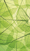 Dimex Leaf Veins Fototapete 150x250cm 2-Bahnen | Yourdecoration.de