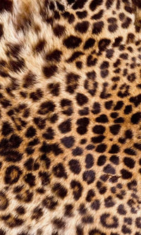 Dimex Leopard Skin Fototapete 150x250cm 2-Bahnen | Yourdecoration.de