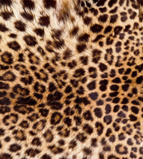 Dimex Leopard Skin Fototapete 225x250cm 3-Bahnen | Yourdecoration.de