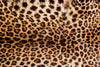 Dimex Leopard Skin Fototapete 375x250cm 5-Bahnen | Yourdecoration.de