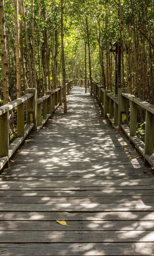 Dimex Mangrove Forest Fototapete 150x250cm 2-Bahnen | Yourdecoration.de