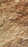 Dimex Marble Fototapete 150x250cm 2-Bahnen | Yourdecoration.de