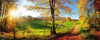 Dimex Meadow Fototapete 375x150cm 5-Bahnen | Yourdecoration.de