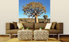 Dimex Namibia Fototapete 225x250cm 3-Bahnen Sfeer | Yourdecoration.de