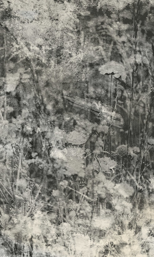Dimex Nature Gray Abstract Fototapete 150x250cm 2-bahnen | Yourdecoration.de