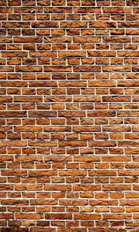 Dimex Old Brick Fototapete 150x250cm 2-Bahnen | Yourdecoration.de