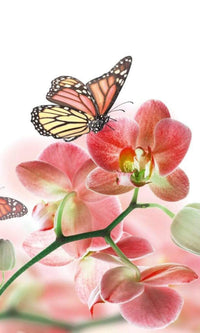 Dimex Orchids and Butterfly Fototapete 150x250cm 2-Bahnen | Yourdecoration.de