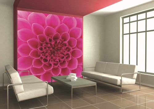 Dimex Pink Dahlia Fototapete 225x250cm 3-Bahnen Sfeer | Yourdecoration.de