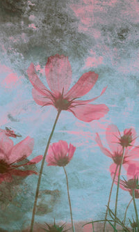 Dimex Pink Flower Abstract Fototapete 150x250cm 2-bahnen | Yourdecoration.de