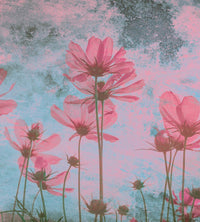 Dimex Pink Flower Abstract Fototapete 225x250cm 3-bahnen | Yourdecoration.de