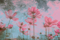 Dimex Pink Flower Abstract Fototapete 375x250cm 5-bahnen | Yourdecoration.de
