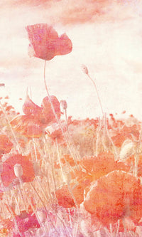 Dimex Poppies Abstract Fototapete 150x250cm 2-bahnen | Yourdecoration.de