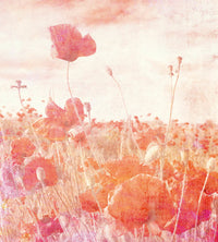 Dimex Poppies Abstract Fototapete 225x250cm 3-bahnen | Yourdecoration.de