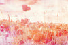 Dimex Poppies Abstract Fototapete 375x250cm 5-bahnen | Yourdecoration.de