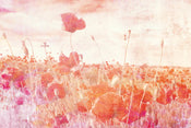 Dimex Poppies Abstract Fototapete 375x250cm 5-bahnen | Yourdecoration.de