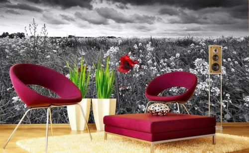 Dimex Poppies Black Fototapete 375x250cm 5-Bahnen Sfeer | Yourdecoration.de