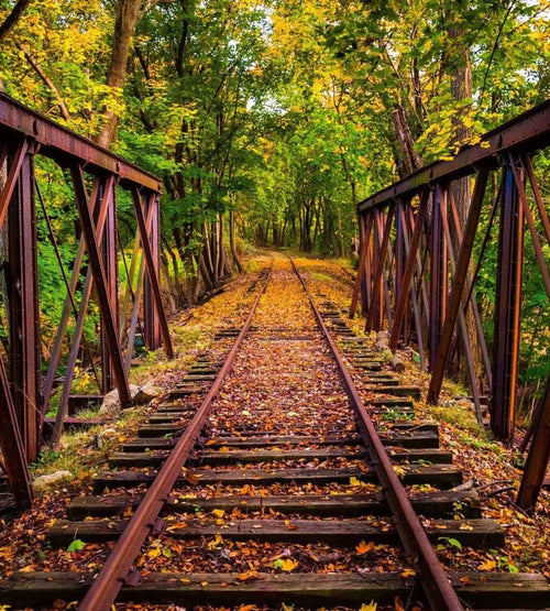 Dimex Railroad Fototapete 225x250cm 3-Bahnen | Yourdecoration.de