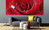Dimex Red Rose Fototapete 375x150cm 5-Bahnen Sfeer | Yourdecoration.de
