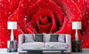 Dimex Red Rose Fototapete 375x250cm 5-Bahnen Sfeer | Yourdecoration.de