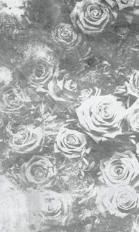 Dimex Roses Abstract II Fototapete 150x250cm 2-bahnen | Yourdecoration.de