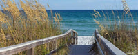 Dimex Sandy Boardwalk Fototapete 375x150cm 5-Bahnen | Yourdecoration.de