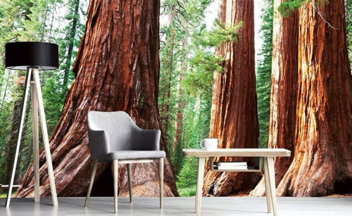 Dimex Sequoia Fototapete 375x250cm 5-Bahnen Sfeer | Yourdecoration.de