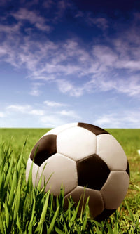 Dimex Soccer Ball Fototapete 150x250cm 2-Bahnen | Yourdecoration.de