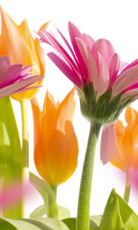 Dimex Spring Flowers Fototapete 150x250cm 2-Bahnen | Yourdecoration.de