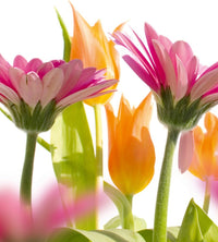 Dimex Spring Flowers Fototapete 225x250cm 3-Bahnen | Yourdecoration.de