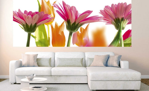 Dimex Spring Flowers Fototapete 375x150cm 5-Bahnen Interieur | Yourdecoration.de