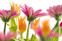 Dimex Spring Flowers Fototapete 375x250cm 5-Bahnen | Yourdecoration.de