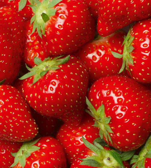 Dimex Strawberry Fototapete 225x250cm 3-Bahnen | Yourdecoration.de