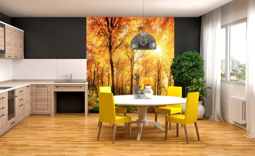 Dimex Sunny Forest Fototapete 225x250cm 3-Bahnen Interieur | Yourdecoration.de