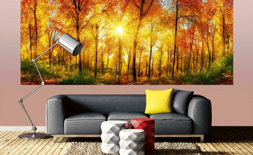 Dimex Sunny Forest Fototapete 375x150cm 5-Bahnen Interieur | Yourdecoration.de