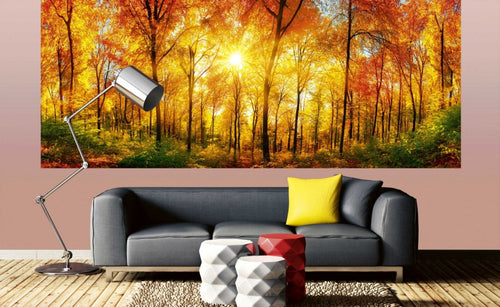 Dimex Sunny Forest Fototapete 375x150cm 5-Bahnen Interieur | Yourdecoration.de