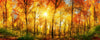 Dimex Sunny Forest Fototapete 375x150cm 5-Bahnen | Yourdecoration.de
